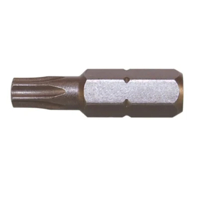 BIT  25 MM  T 6